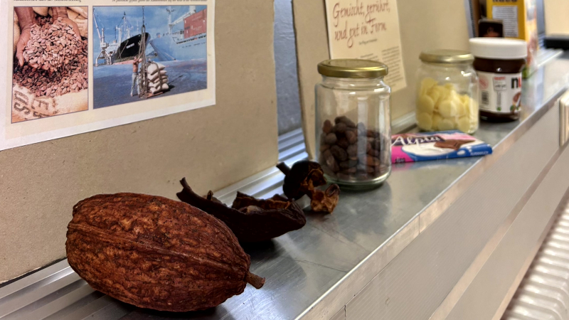 Schülerseminar „Schokolade – süß mit bitterem Beigeschmack“